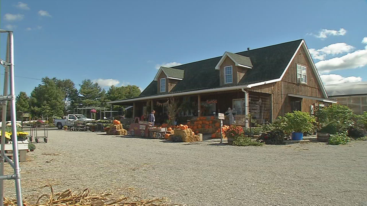 Country Corner Greenhouse closes